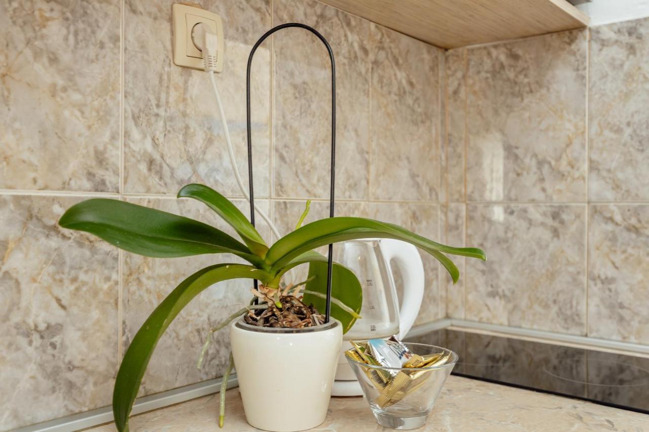 Apartmani Vico Herceg Novi Kültér fotó