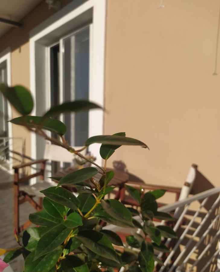 Apartmani Vico Herceg Novi Kültér fotó